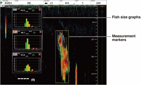 FCV-38_fish_size_graph_example