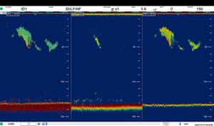 Mackerel_histogramOFF (1)